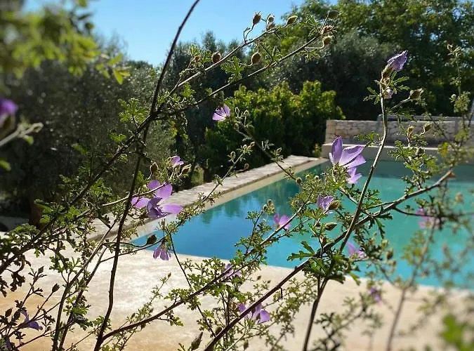 Trulli Settarte Con Piscina Holiday home