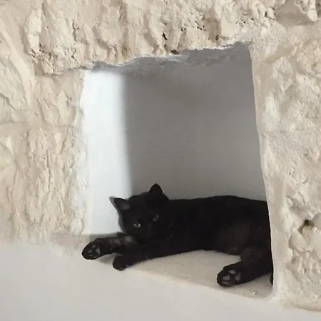 בית נופש Trulli Settarte Con Piscina *
